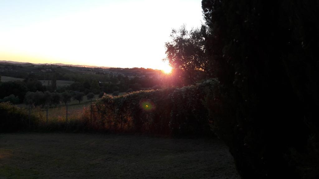 I Fagiani B&B Rimini Buitenkant foto